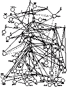 Стемма літописів зі статті Я. С. Лурьє…