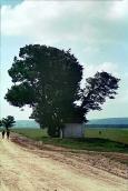 1988 р. Загальний вигляд